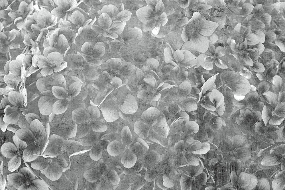 Pelēkas fototapetes ar ziedošiem ziediem, 375x250 cm D-ART