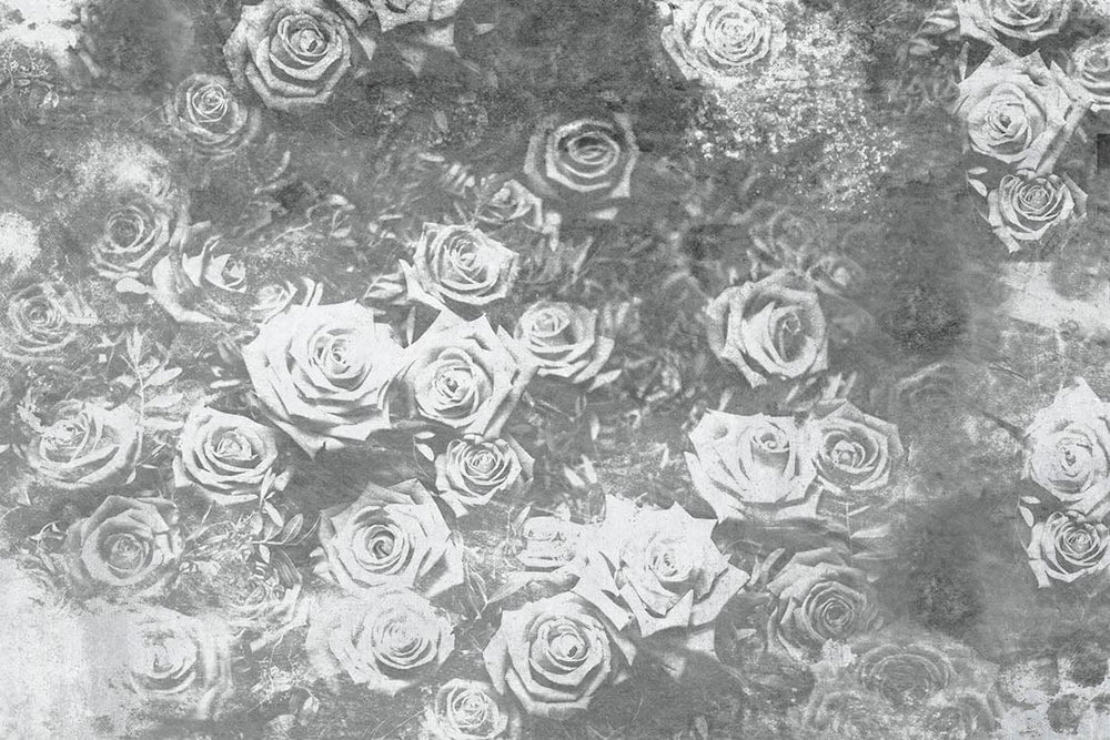 Melnbaltas fototapetes ar rozēm vintāžas stilā - D378 D-ART