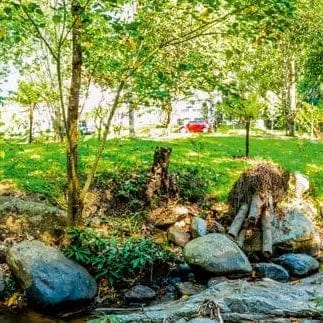 Fototapetes virtuvei ar lamināciju - Botāniskais dārzs (260x60 cm) Art4home