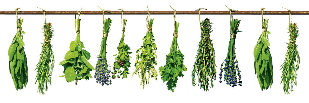 Pašlīmējošas fototapetes virtuvei - Garšaugi  (180x60 cm) Art4home