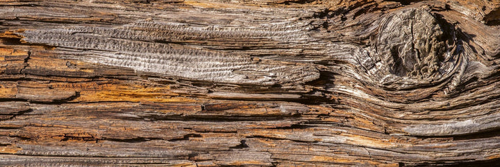 Pašlīmējošas fototapetes virtuvei - Koku miza  (180x60 cm) Art4home