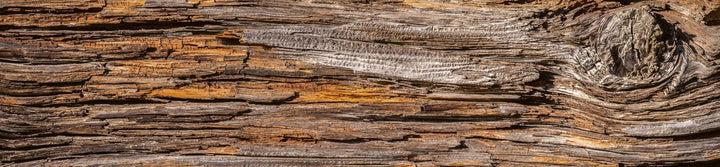 Laminētas pašlīmējošas fototapetes virtuvei - Koku miza (260x60 cm) Art4home