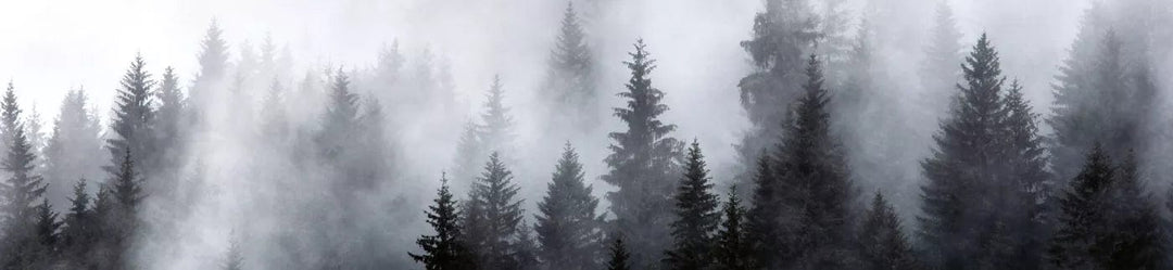 Pašlīmējošas fototapetes virtuvei ar meža rakstu - Migla  (260x60 cm) Art4home