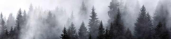 Pašlīmējošas fototapetes virtuvei ar meža rakstu - Migla  (260x60 cm) Art4home