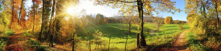 Pašlīmējošas fototapetes virtuvei - Pļava  (260x60 cm) Art4home