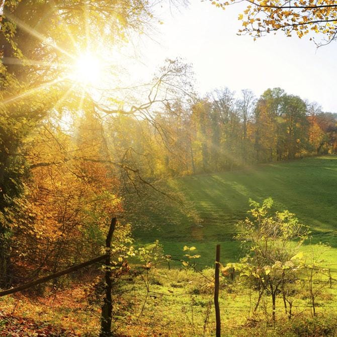 Pašlīmējošas fototapetes virtuvei - Pļava  (260x60 cm) Art4home