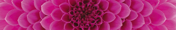 Art4home