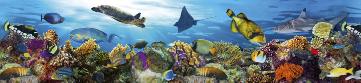 Fototapetes virtuvei ar lamināciju - Zivis  (260x60 cm) Art4home