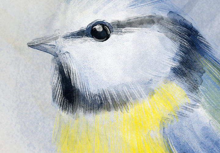 Glezna - Akvareļkrāsu zīlītes , (x 5), 142553 G-ART