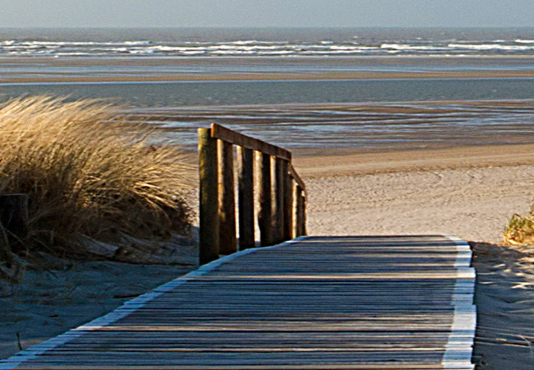 Glezna - ar jūras skatu - Vientuļā pludmale , (x 5), 142061 G-ART