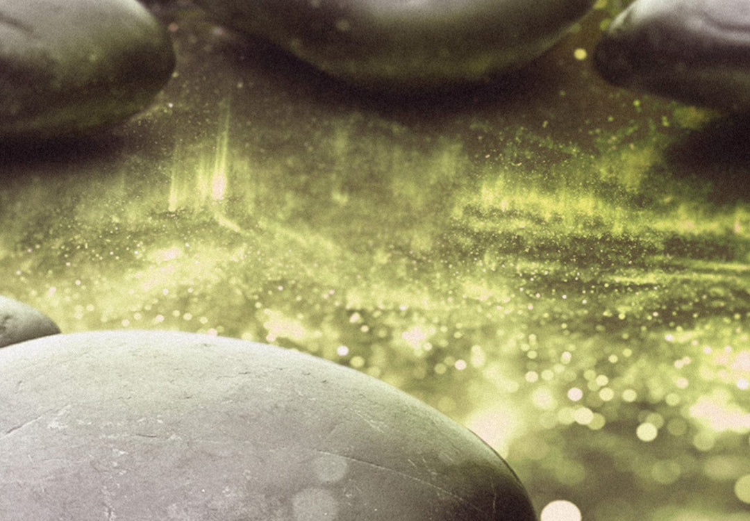 Glezna - - Lilijas un akmeņi , (x 5), Zaļa, 108259 G-ART