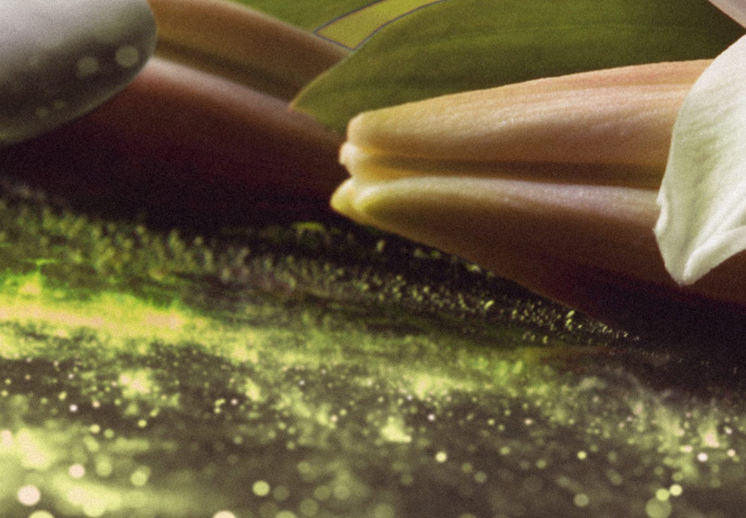 Glezna - - Lilijas un akmeņi , (x 5), Zaļa, 108259 G-ART