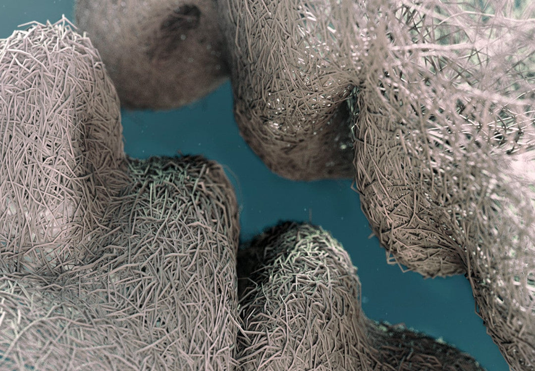 Glezna - Pieskāriens , (x 5), 128772 G-ART