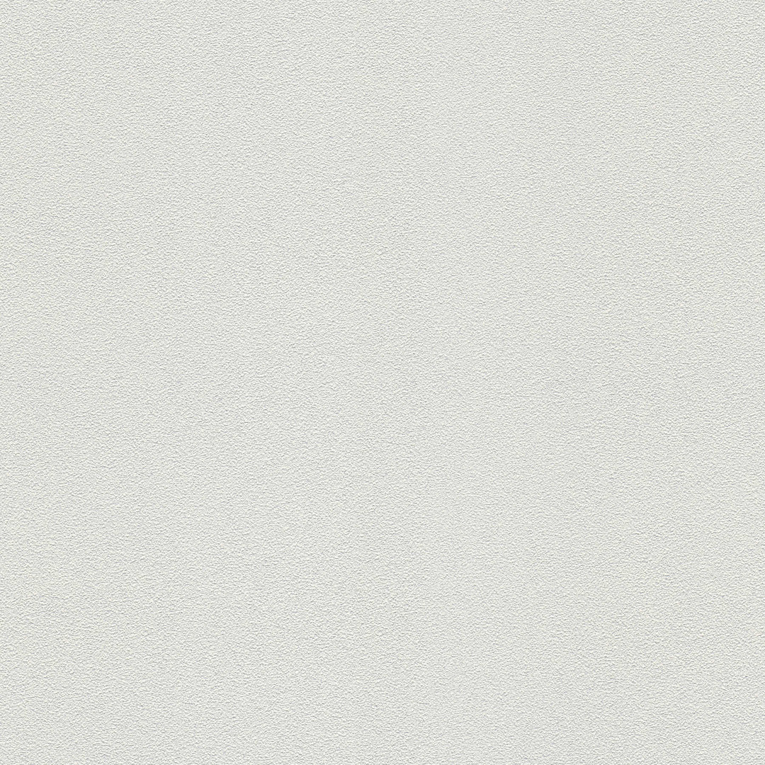 Krāsojamas tapetes griestiem 311016 (0.53x10m) AS Creation