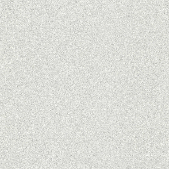 Krāsojamas tapetes griestiem 311016 (0.53x10m) AS Creation