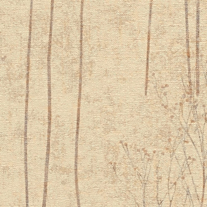 AS Creation