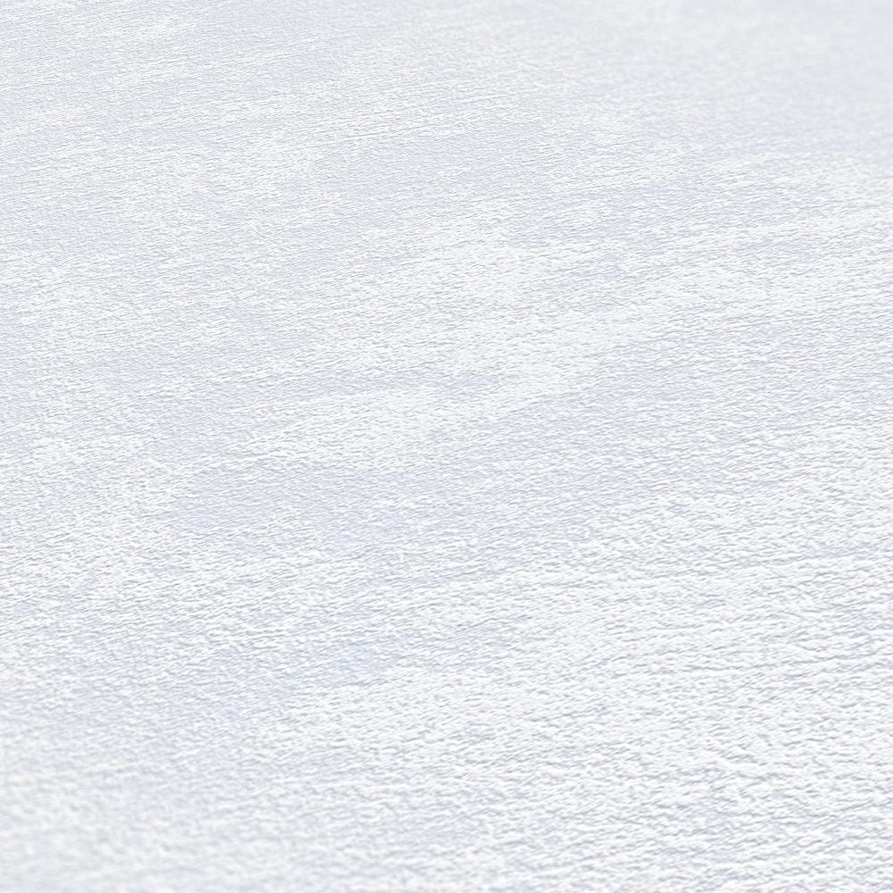 Tapetes ar apmetuma tekstūru, gaiši pelēkos toņos AS 378381 Tapetenshop.lv