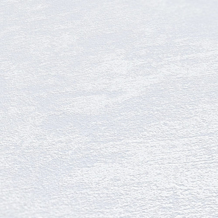 Tapetes ar apmetuma tekstūru, gaiši pelēkos toņos AS 378381 Tapetenshop.lv