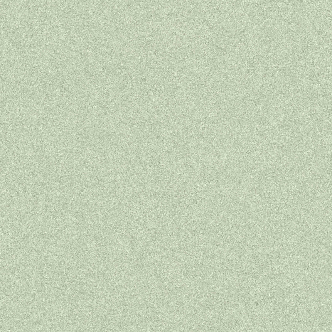 Vienkrāsainas tapetes zaļā krāsā, 375094 AS Creation