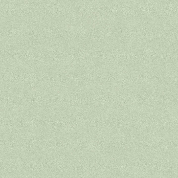 Vienkrāsainas tapetes zaļā krāsā, 375094 AS Creation