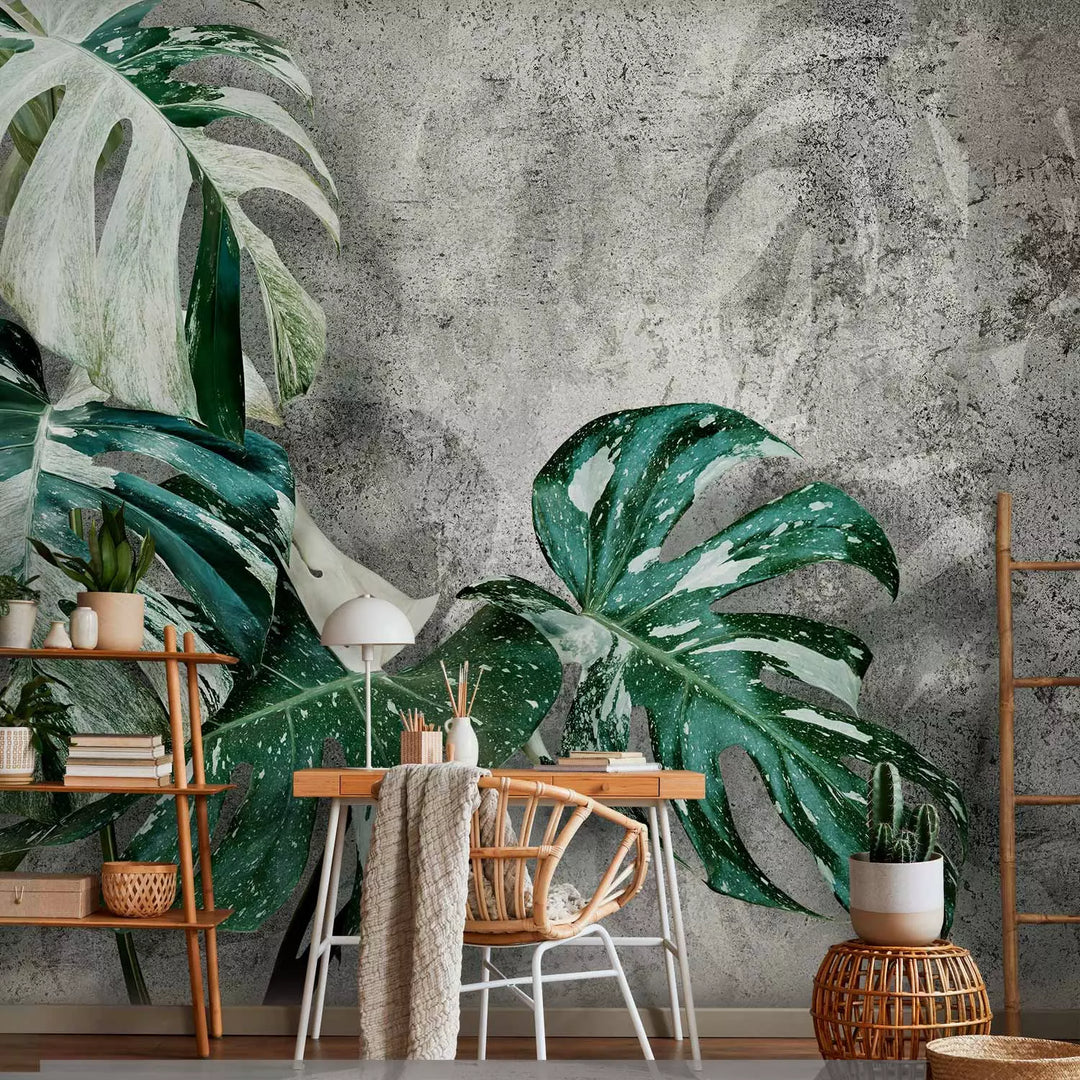 Wall Murals with green Monstera leaves on dark grey background, 135503