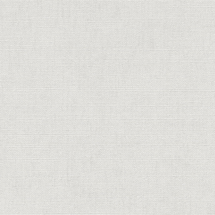 Ühevärviline tapeet ERISMANN elegantse läikega heledates toonides - 4012332