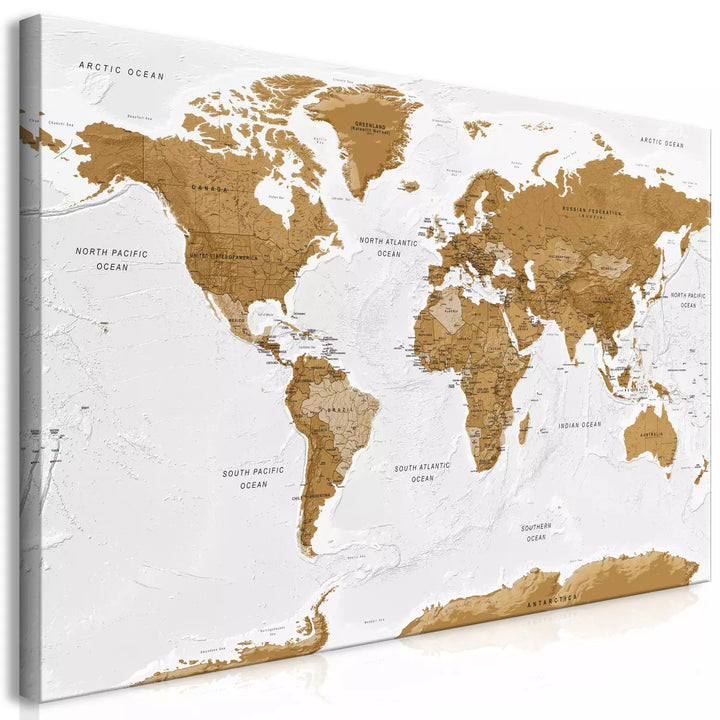 Lielformāta glezna - Politiskā pasaules karte ar valstīm uz gaiša fona, 132356