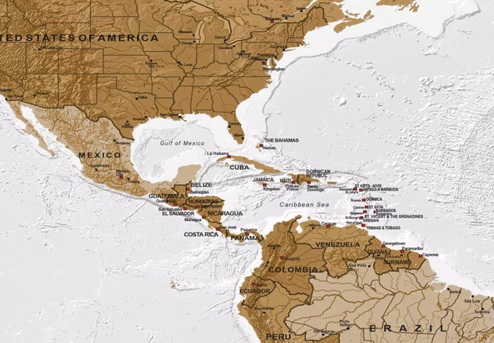 Lielformāta glezna - Politiskā pasaules karte ar valstīm uz gaiša fona, 132356