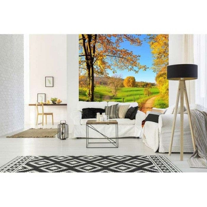225x250 cm Fototapetes - Rudens pļava D-ART