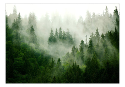 350x256 cm Fototapetes ar mežu - Kalnu mežs, 126805 G-ART