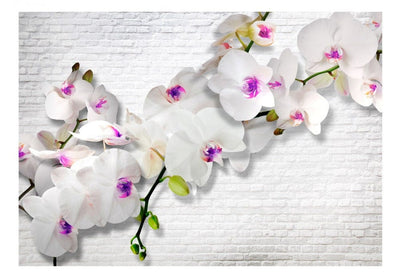 350x256 cm Fototapetes - Siena ar orhidejām II, 61847 G-ART