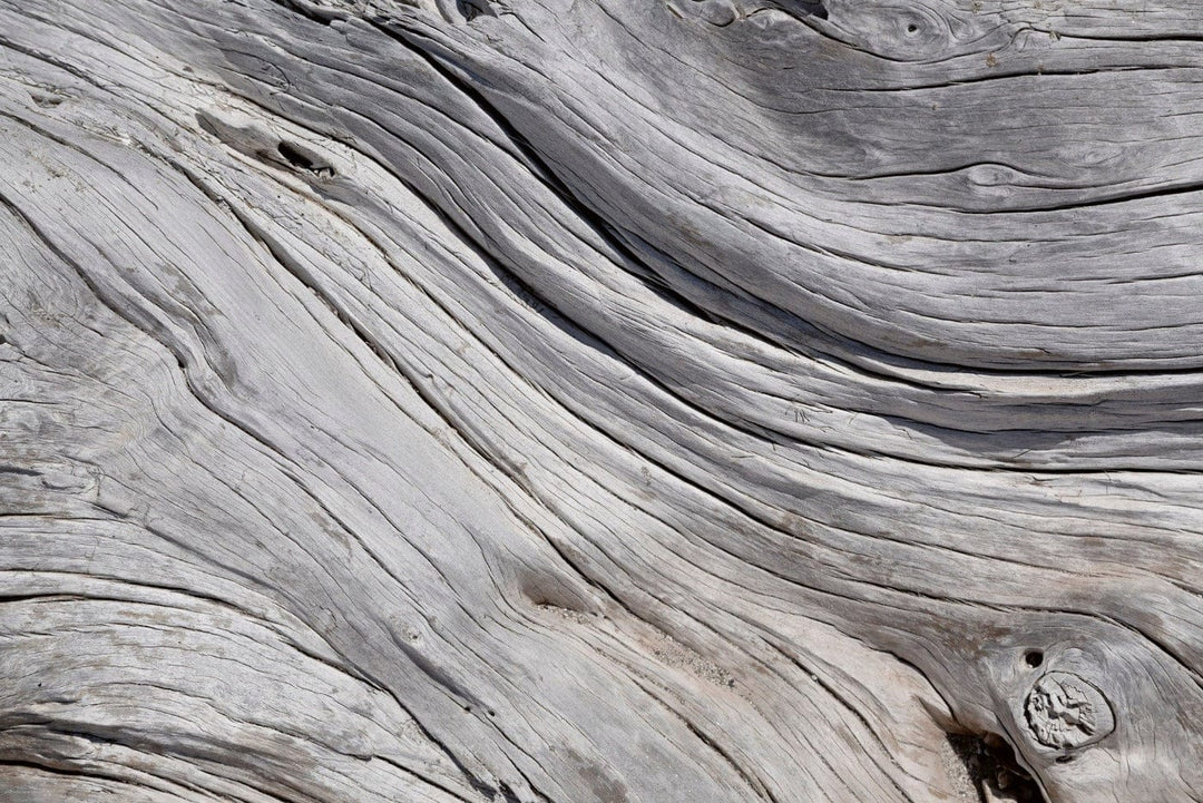 Lētas fototapetes - Koka tekstūra pelēkos toņos, 375x250 cm D-ART