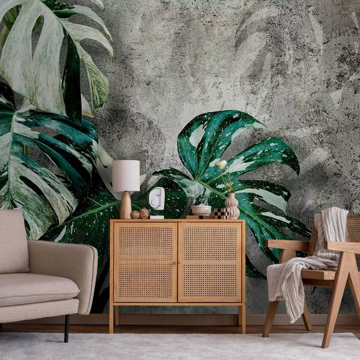 Wall Murals with green Monstera leaves on dark grey background, 135503
