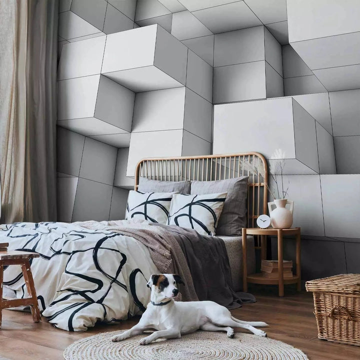 3D fototapetes ar perspektīvu - Ilūzijas teātris, 96048 Tapetenshop.lv