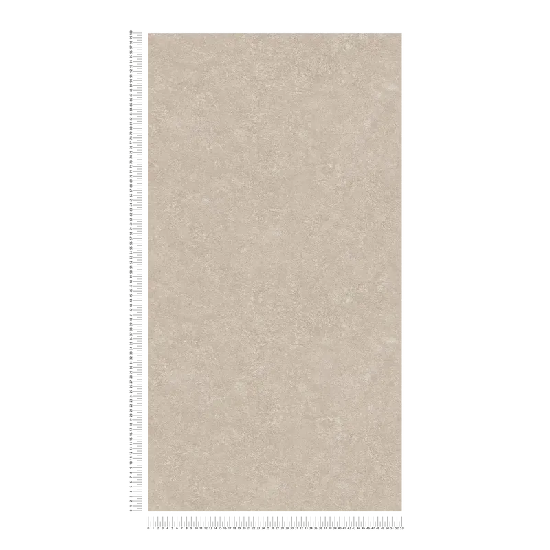 Ühevärviline dekoratiivkrohvimustriga tapeet, beež, 1341153