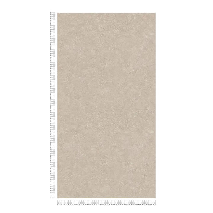 Ühevärviline dekoratiivkrohvimustriga tapeet, beež, 1341153