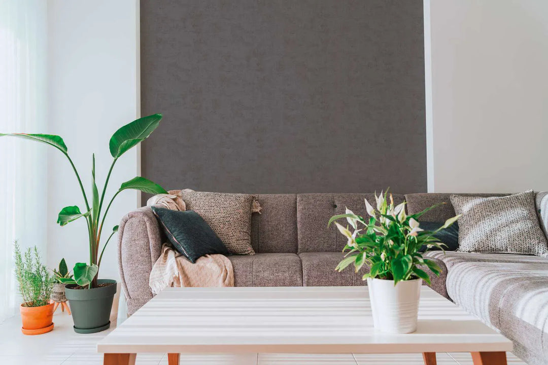 Tapetes ar elegantu faktūru un matētu apdari - tumši pelēkas - 3011745 AS Creation