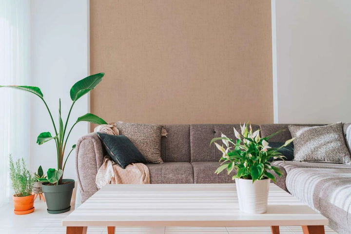 Plain wallpaper with a fine texture and matte finish | brown - 3012144