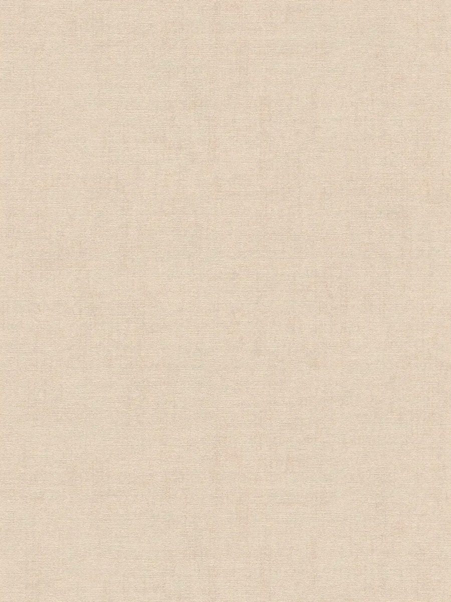 Yksivärinen tapetti, jossa on hieno, matta tekstuuri - hiekka - 3012147