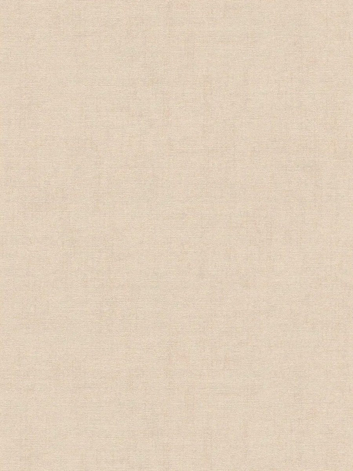 Yksivärinen tapetti, jossa on hieno, matta tekstuuri - hiekka - 3012147