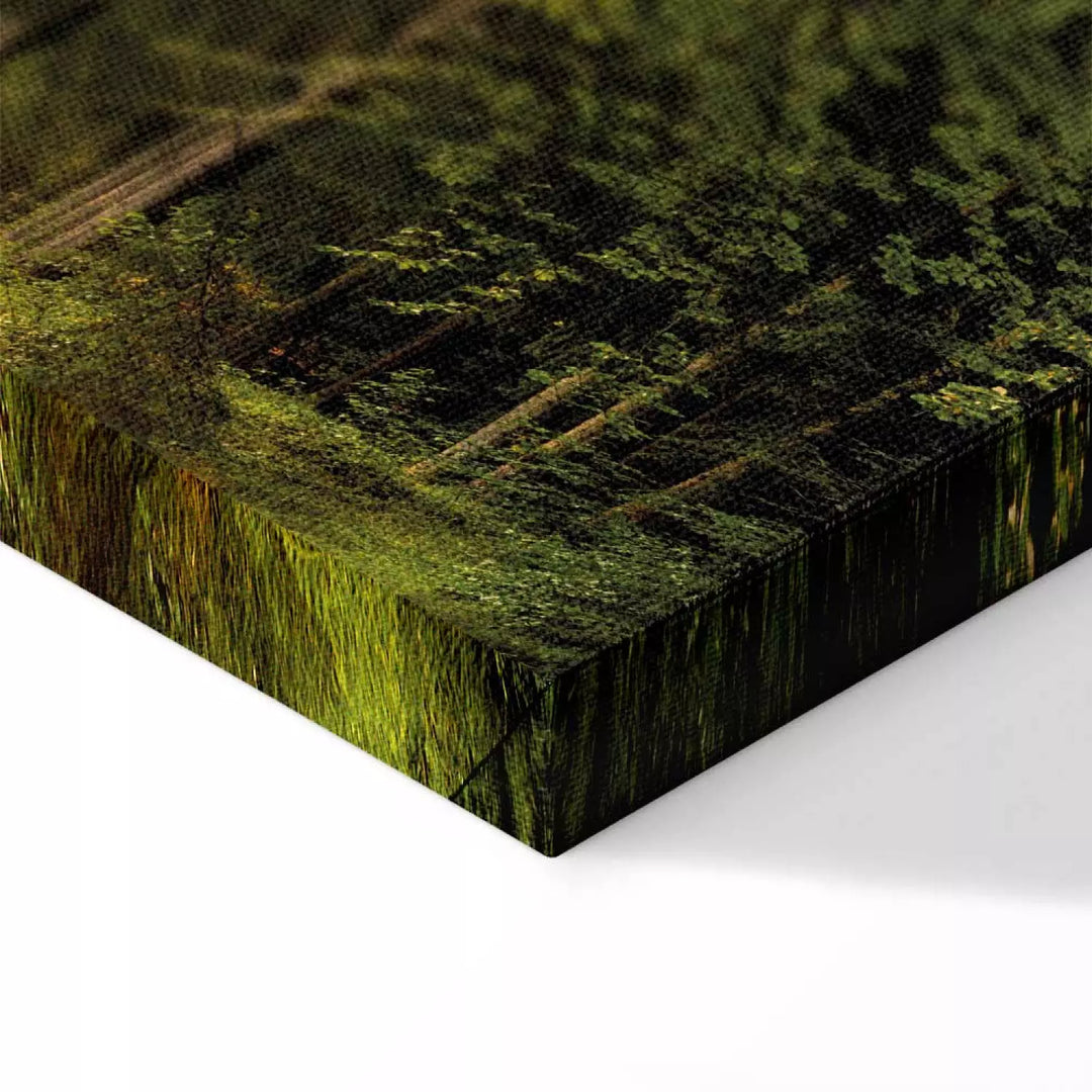 Paveikslai ant drobės su saulėtu mišku - Miško magija, 91573, (x5)