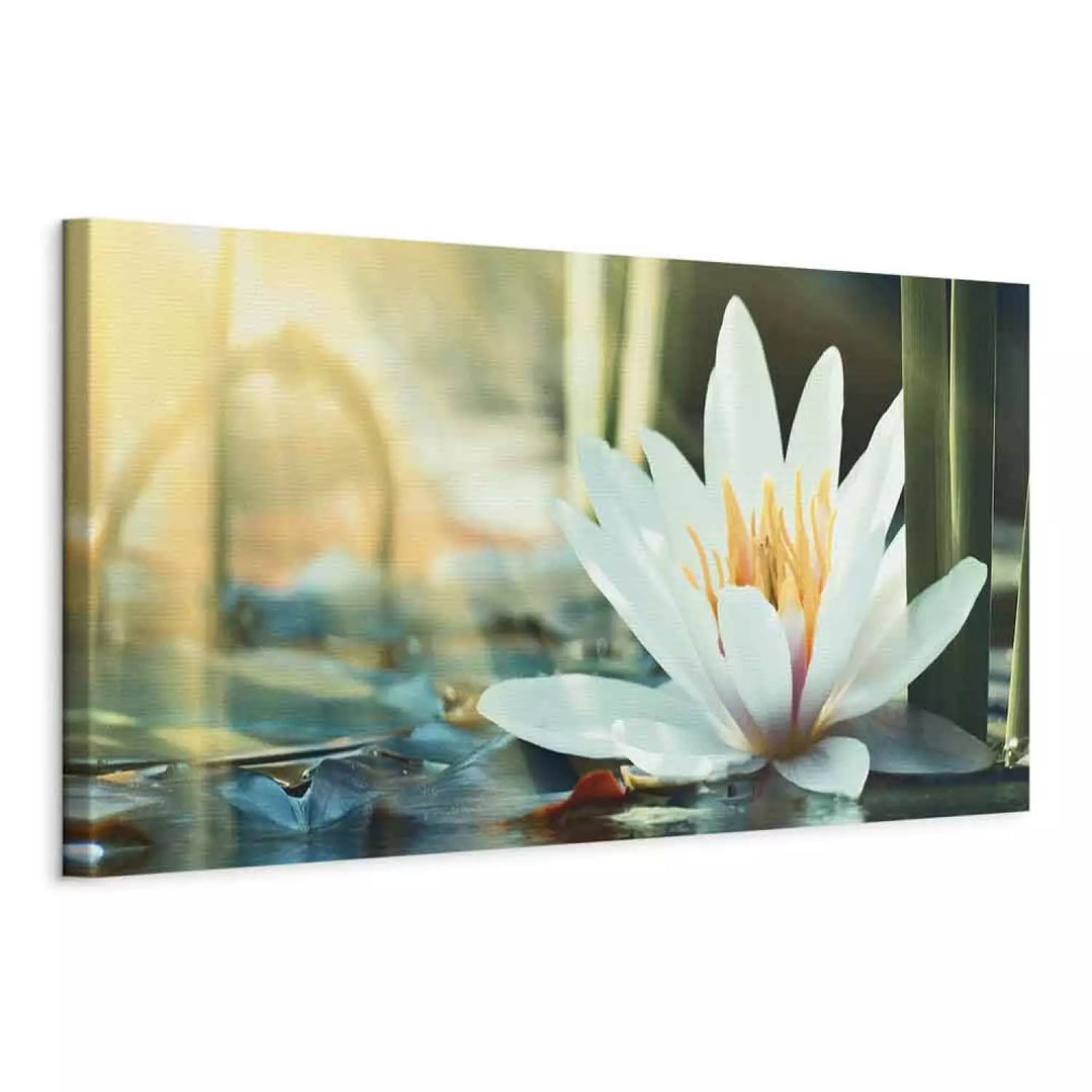 Kanva ar lotosu uz ūdens - Lotosa ezers, (x1) 93082
