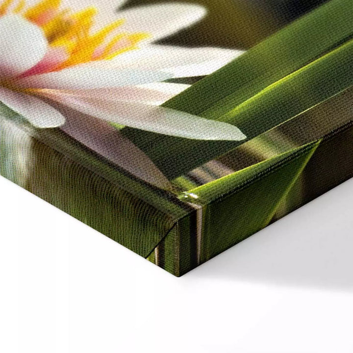 Kanva ar lotosa ziedu - Lotosa mirdzums, 93083, (x1)