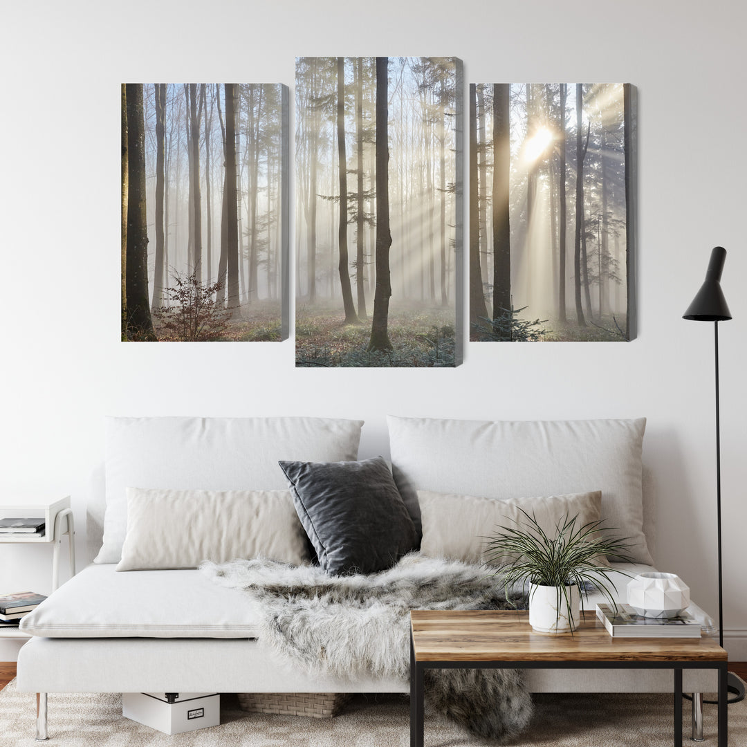 Canva - Sunrise in forest, N-1853