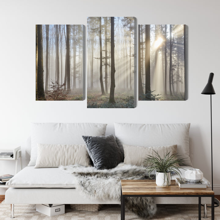 Canva - Sunrise in forest, N-1853