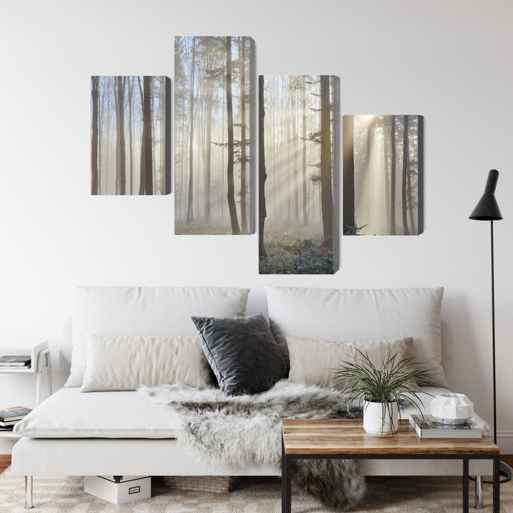 Canva - Sunrise in forest, N-1855