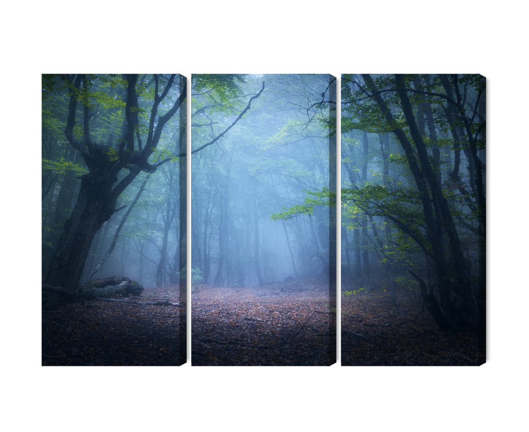 Canva - Forest landscape in fog 3D, N-1909