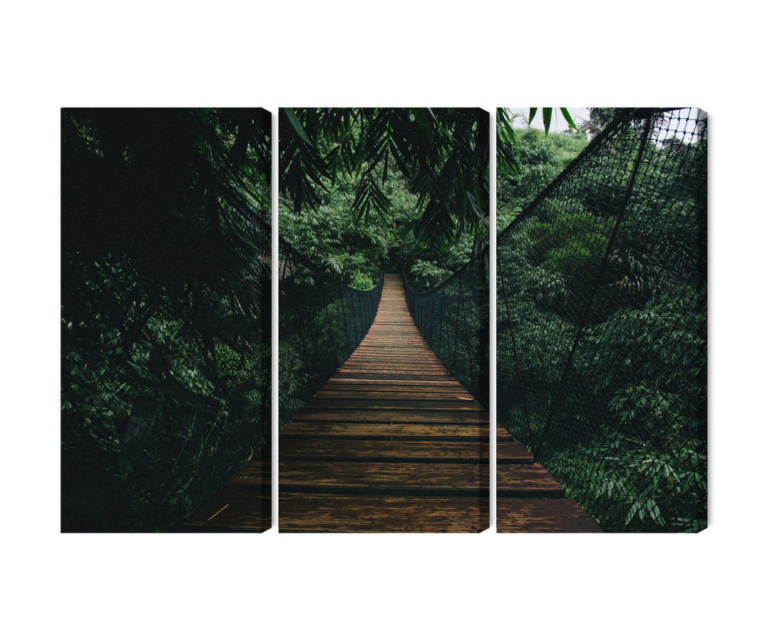 Canva - Wooden suspension bridge in forest, N-2004