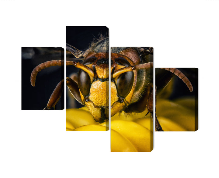 Канва - Макроскопическая оса, N-3676