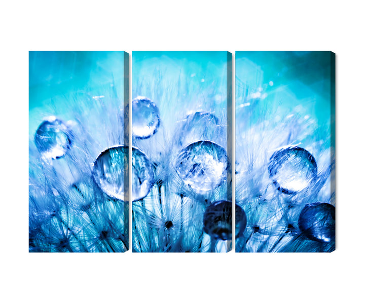 Канва - Капли росы на семенах одуванчика, макросъемка, N-3703